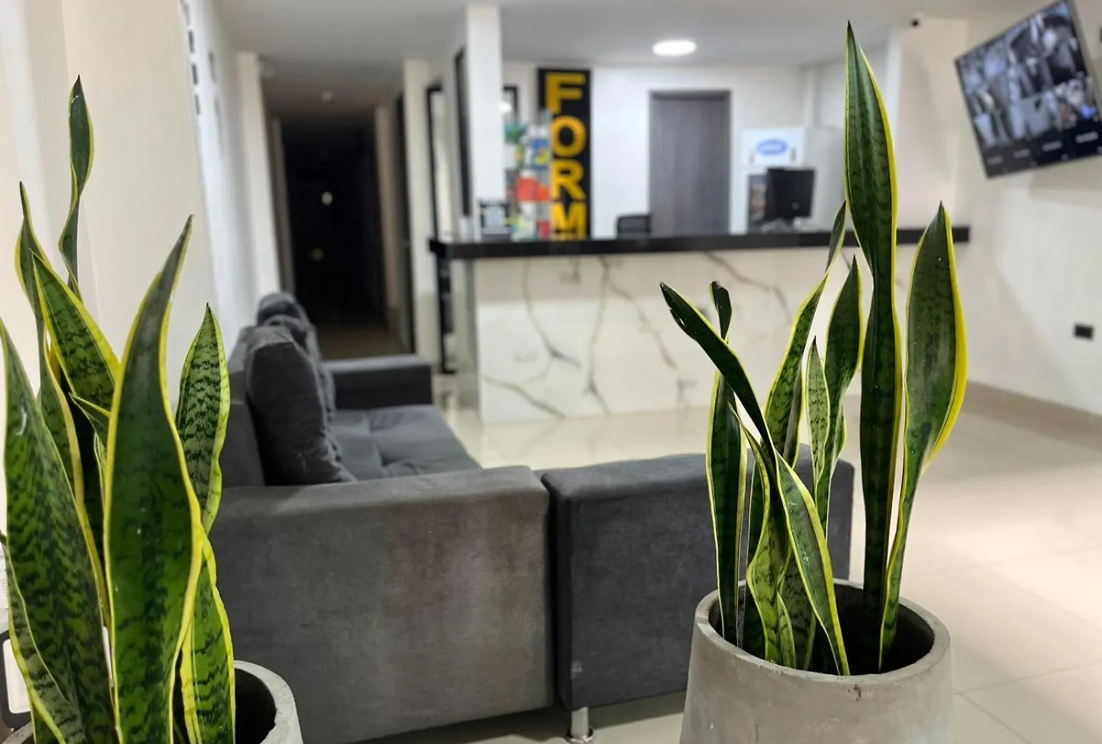Homestay Format One Apartment Medellin
